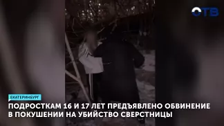 Подросткам 16 и 17 лет предъявлено обвинение в покушении на убийство сверстницы