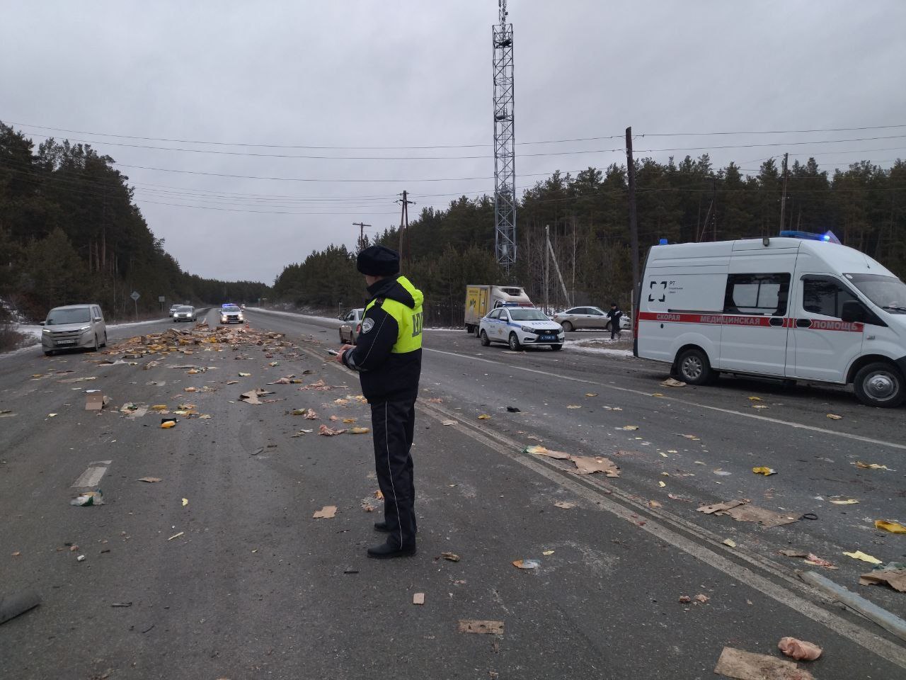 «Куриный хаос на трассе»: «Газель» с птицей, выехавшая со второстепенной дороги, столкнулась с самосвалом