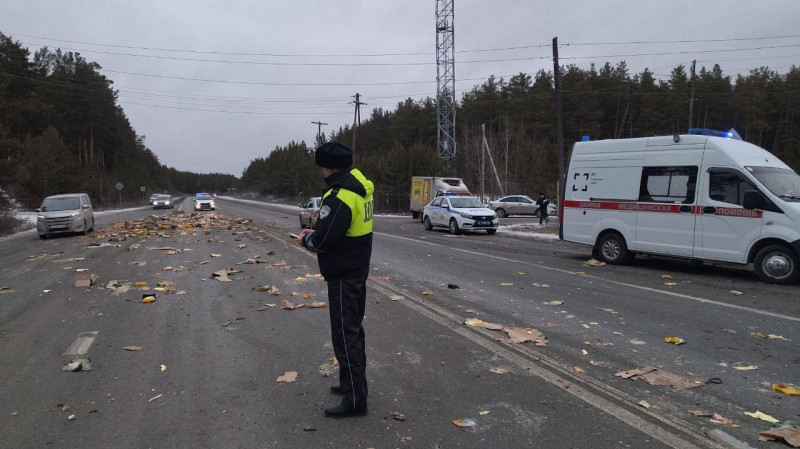 «Куриный хаос на трассе»: «Газель» с птицей, выехавшая со второстепенной дороги, столкнулась с самосвалом