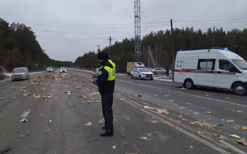 «Куриный хаос на трассе»: «Газель» с птицей, выехавшая со второстепенной дороги, столкнулась с самосвалом