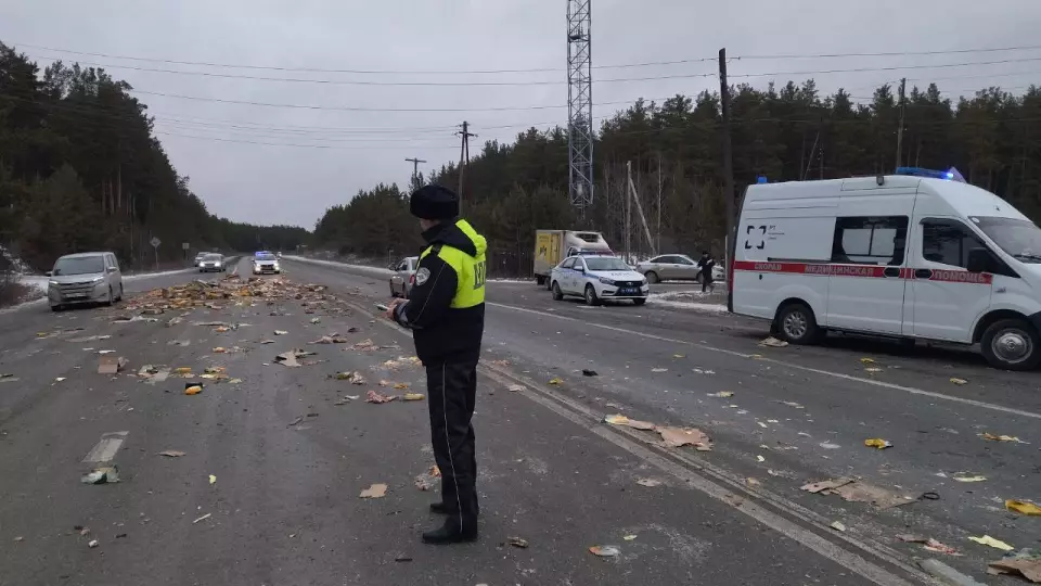 «Куриный хаос на трассе»: «Газель» с птицей, выехавшая со второстепенной дороги, столкнулась с самосвалом