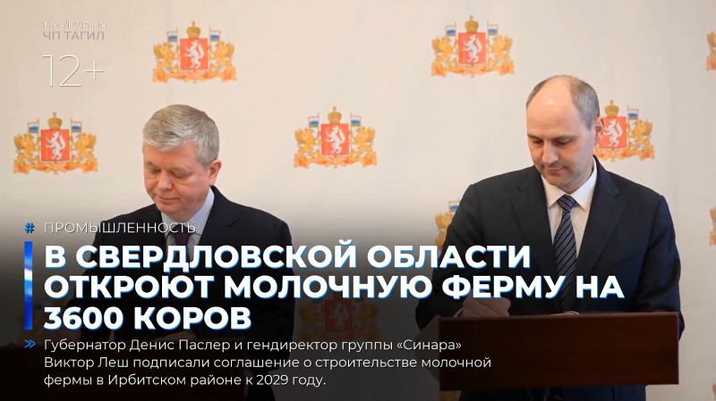 В Свердловской области откроют молочную ферму на 3600 коров
