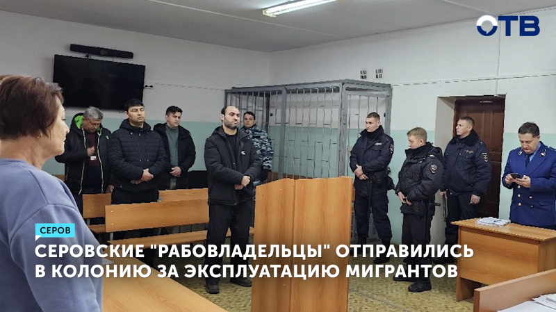 Серовские "рабовладельцы" отправились в колонию за эксплуатацию мигрантов