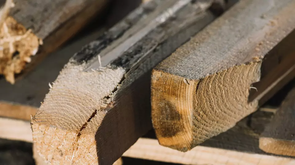 Насколько значим закон о приоритетном праве ветеранов СВО на заготовку древесины?