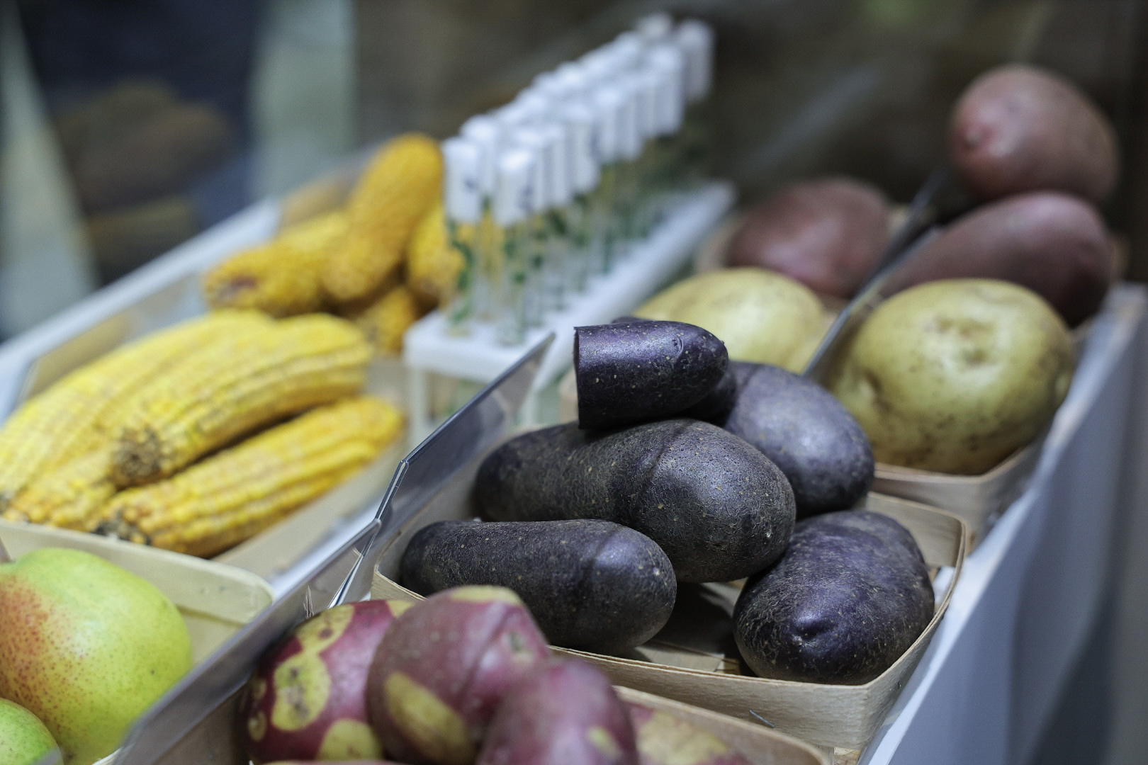 Людмила Бабушкина: областной закон об обеспечении продовольственной безопасности является драйвером развития АПК Среднего Урала