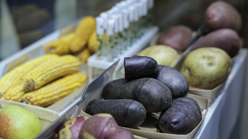 Людмила Бабушкина: областной закон об обеспечении продовольственной безопасности является драйвером развития АПК Среднего Урала