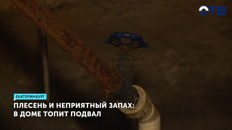 Канализационные стоки затопили подвал в доме на улице Мраморской в Екатеринбурге