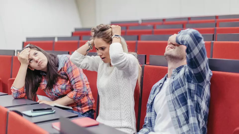 Юрист: вузы могут менять учебные программы по своему усмотрению