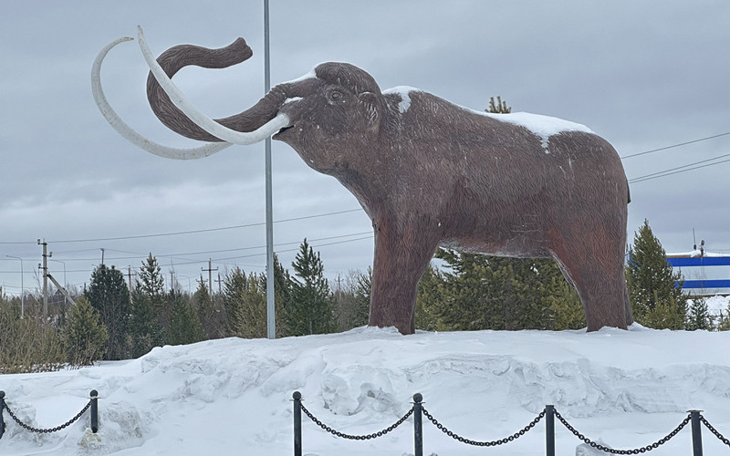 В музей Шемановского после реставрации вернули мамонта Тадибе
