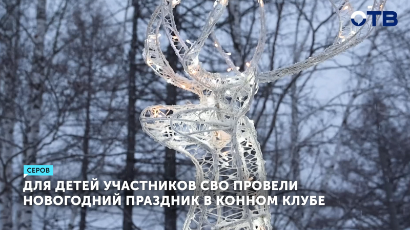 Для детей участников СВО провели новогодний праздник в конном клубе в Серове