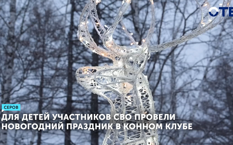 Для детей участников СВО провели новогодний праздник в конном клубе в Серове