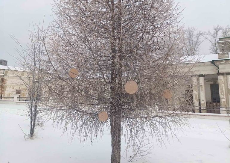 Соборную площадь в Старом Каменске украсят новогодней лиственницей с игрушками