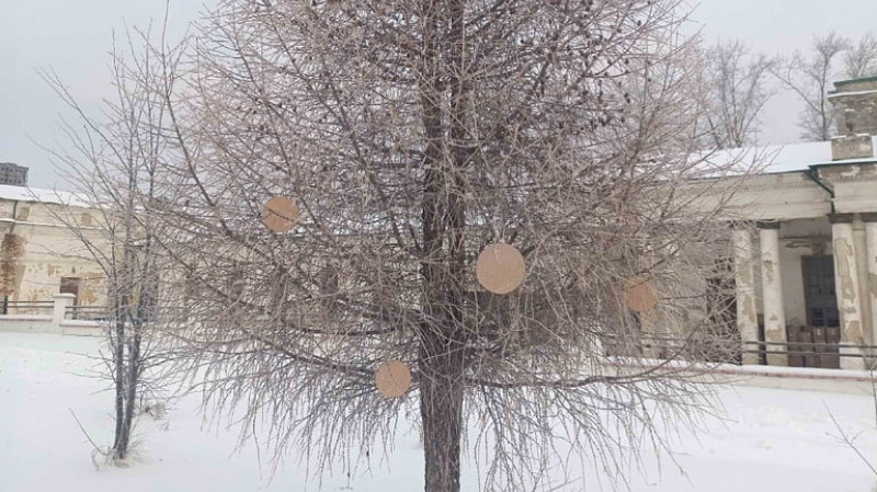 Соборную площадь в Старом Каменске украсят новогодней лиственницей с игрушками