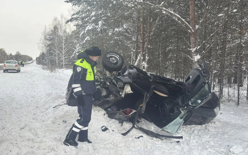 «Не справился с управлением и вылетел в кювет»: два человека погибли в ДТП под Режом