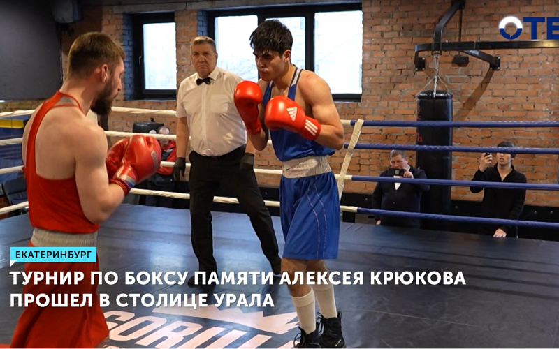 Боксёры сразились на турнире памяти героя Алексея Крюкова