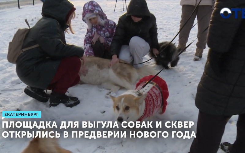 В Екатеринбурге открыли большую площадку для выгула собак
