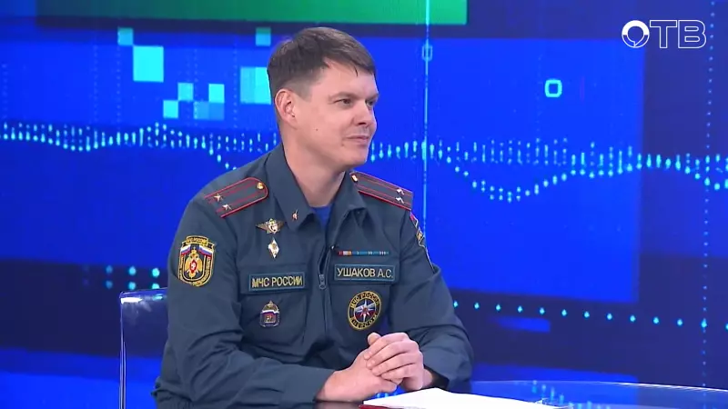 Петарды, елки и бенгальские огни: как встретить Новый год без происшествий