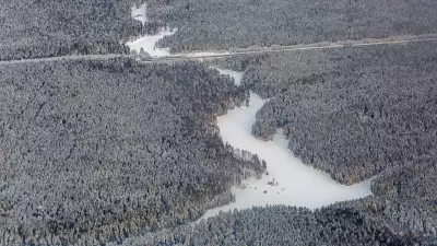 Свердловская область перевыполнила план по лесовосстановлению на тысячу гектаров