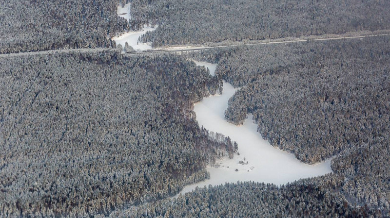 Свердловская область перевыполнила план по лесовосстановлению на тысячу гектаров