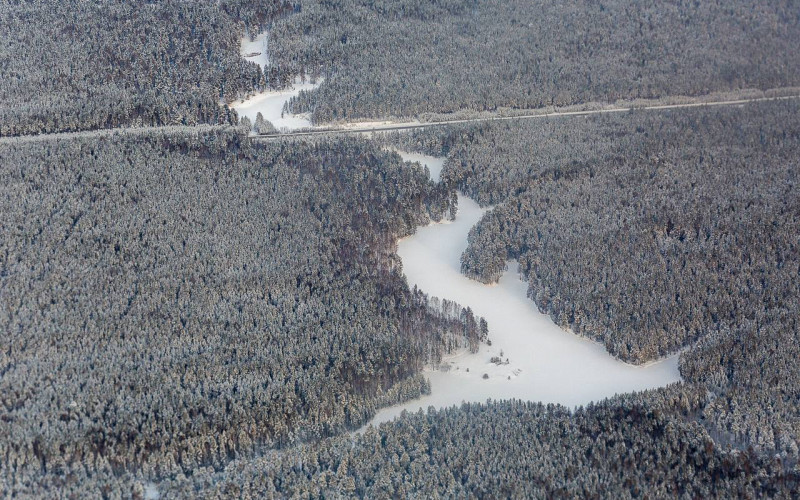 Свердловская область перевыполнила план по лесовосстановлению на тысячу гектаров