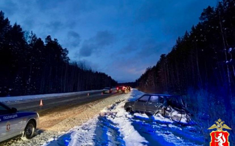 «Вылетел на встречку из-за снега»: под Нижним Тагилом погибла пенсионерка в лобовом ДТП