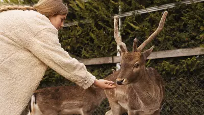 Бывший незаконный контактный зоопарк на Урале получил лицензию