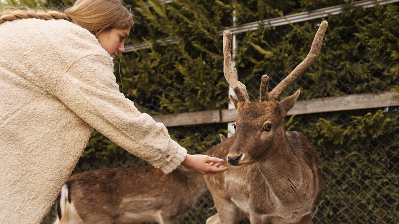 Бывший незаконный контактный зоопарк на Урале получил лицензию