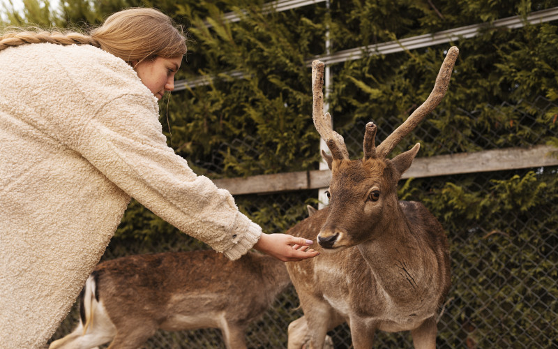 Бывший незаконный контактный зоопарк на Урале получил лицензию
