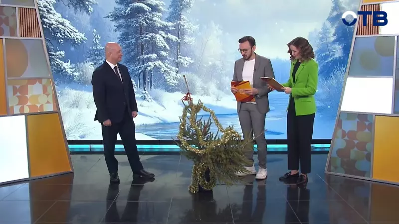 Что делать с новогодней елкой, когда праздники закончились