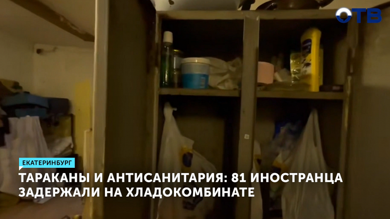 Более 80 мигрантов задержаны при проверке хладокомбината