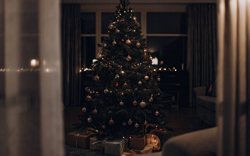 Как правильно выбросить живую ёлку и сколько должна служить искусственная?