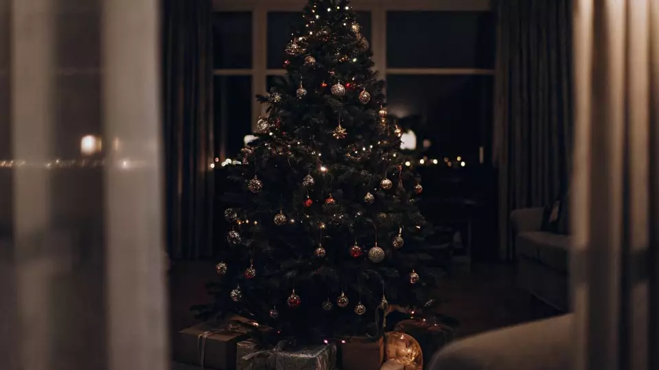 Как правильно выбросить живую ёлку и сколько должна служить искусственная?