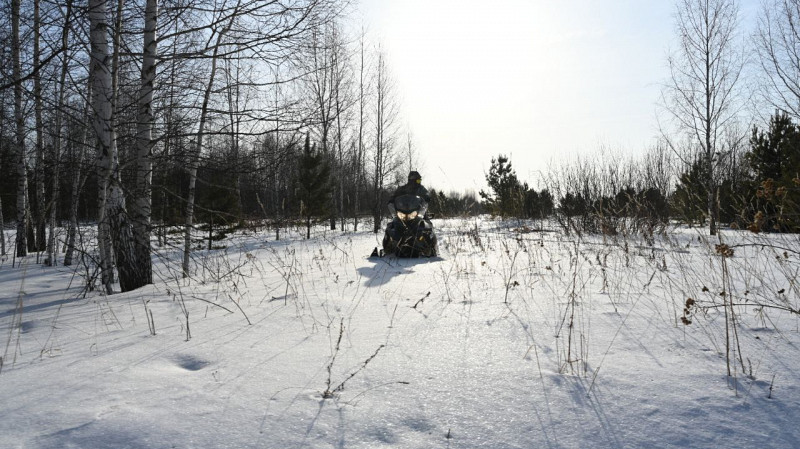 Свыше 19 тысяч патрулирований проведут лесничие Свердловской области в 2026 году