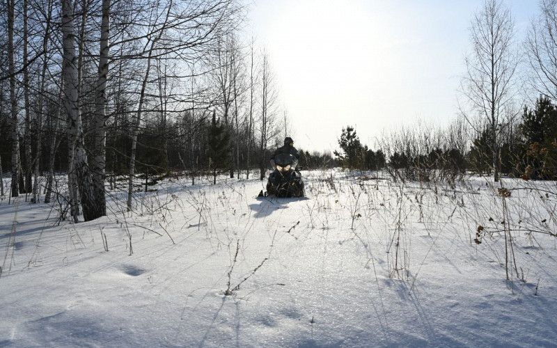 Свыше 19 тысяч патрулирований проведут лесничие Свердловской области в 2026 году