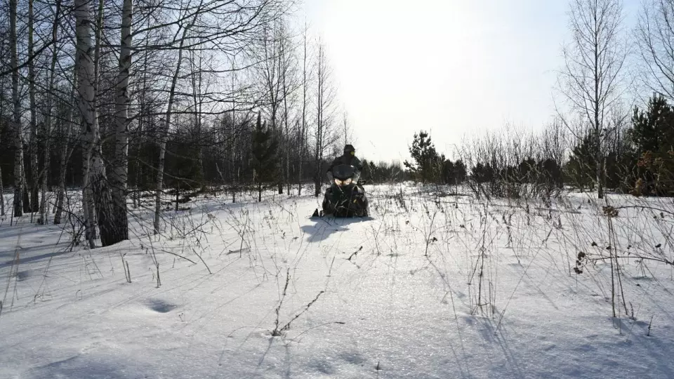 Свыше 19 тысяч патрулирований проведут лесничие Свердловской области в 2026 году