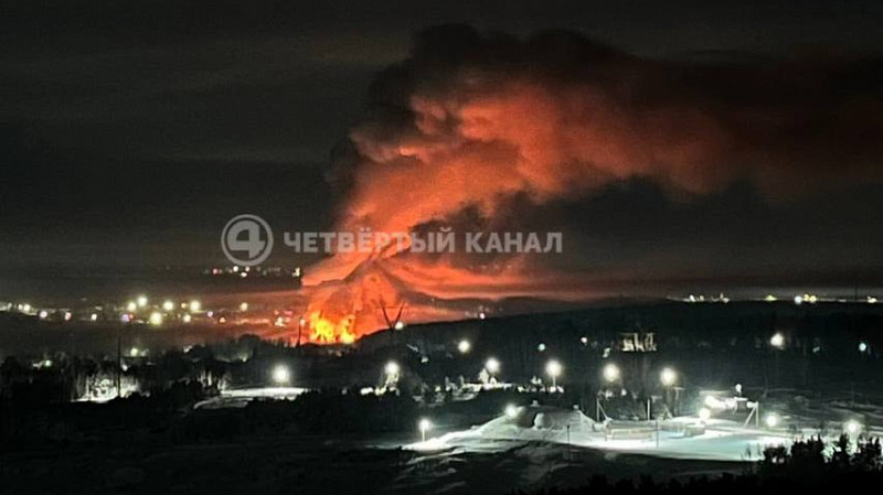 Табун лошадей сгорел в Заречном 
