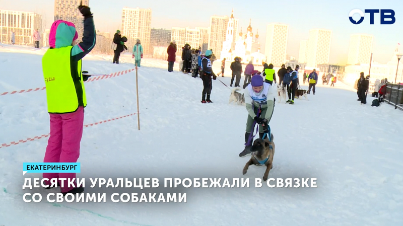 Каникросс в Екатеринбурге собрал десятки участников и собак при −30°C на третьем этапе