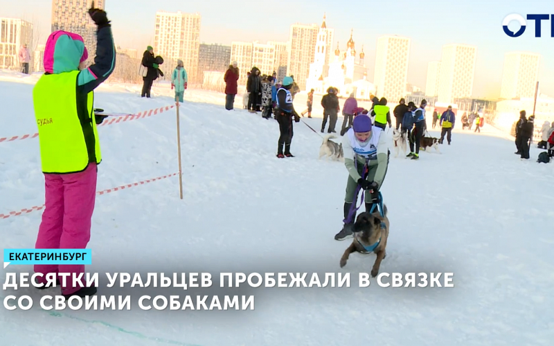 Каникросс в Екатеринбурге собрал десятки участников и собак при −30°C на третьем этапе