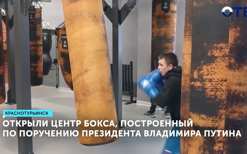 Центр бокса площадью 2500 кв. м открыли в Краснотурьинске по поручению Путина