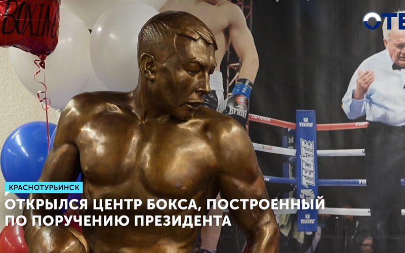 Центр бокса стоимостью полмиллиарда рублей открылся в Краснотурьинске