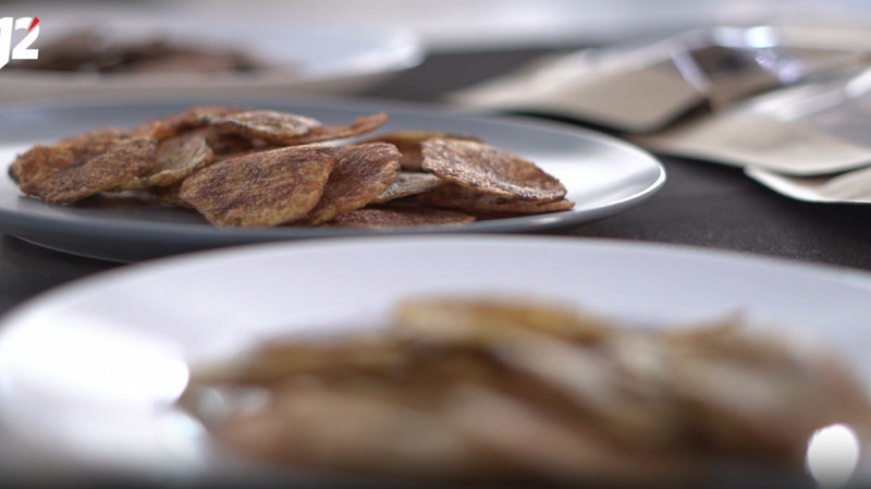 Студенты разработали чипсы из мицелия вешенок с повышенным содержанием белка