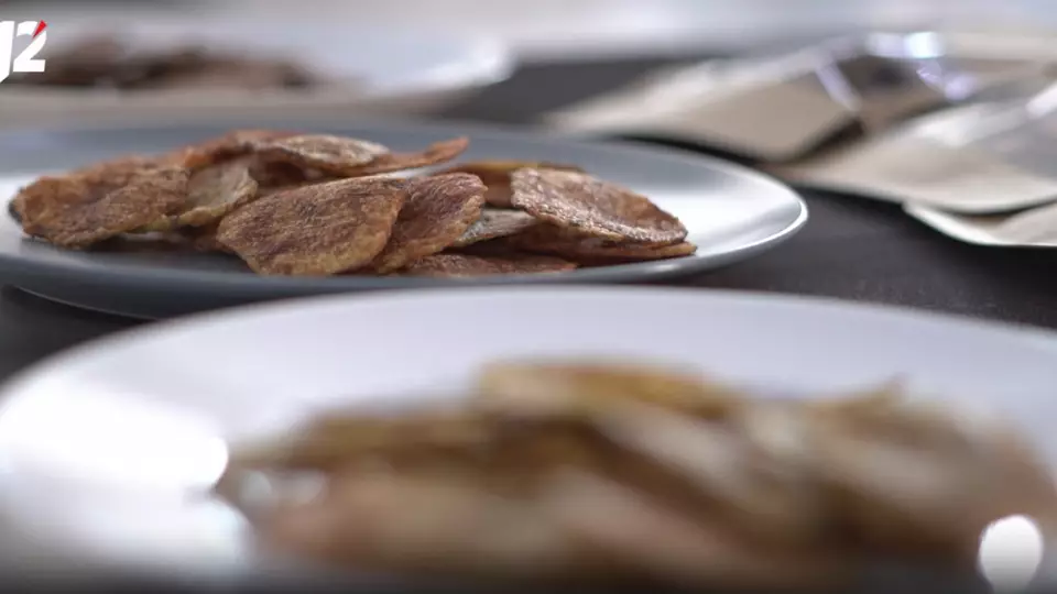 Студенты разработали чипсы из мицелия вешенок с повышенным содержанием белка