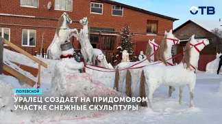 Житель Полевского создал во дворе снежное царство с лошадьми и санями