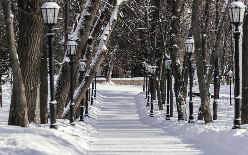 Новое освещение установят на подходах к школам и детсадам в Екатеринбурге