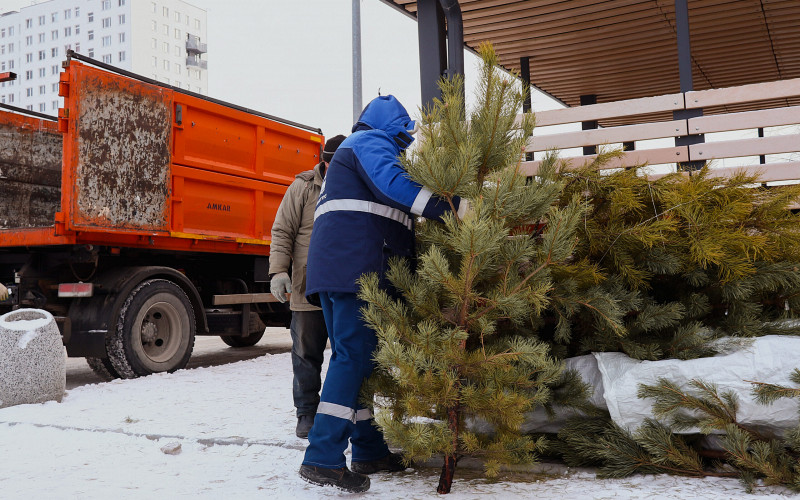 5 000 новогодних ёлок вывезли с контейнерных площадок Свердловской области