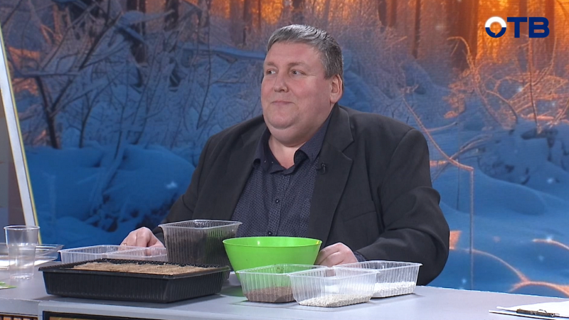 Рассада в феврале: что, когда и как сеять. Памятка для раннего старта