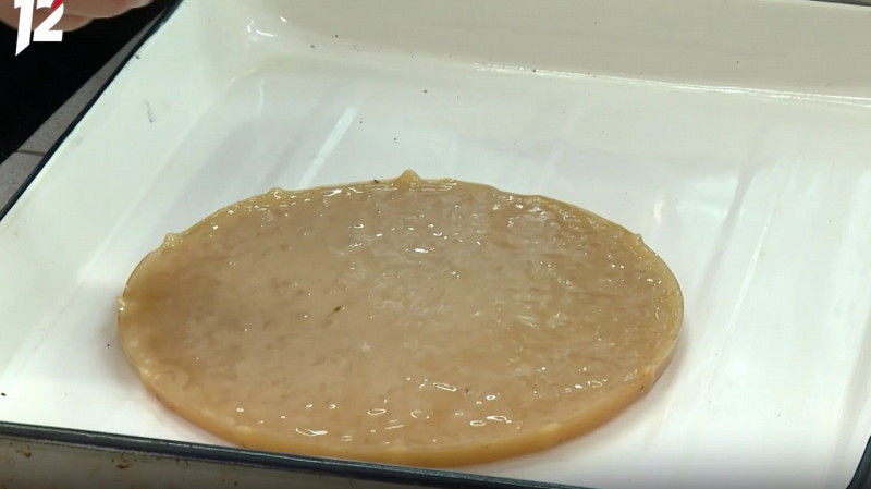 Гель для лечения ран и ожогов на основе чайного гриба разработали студенты