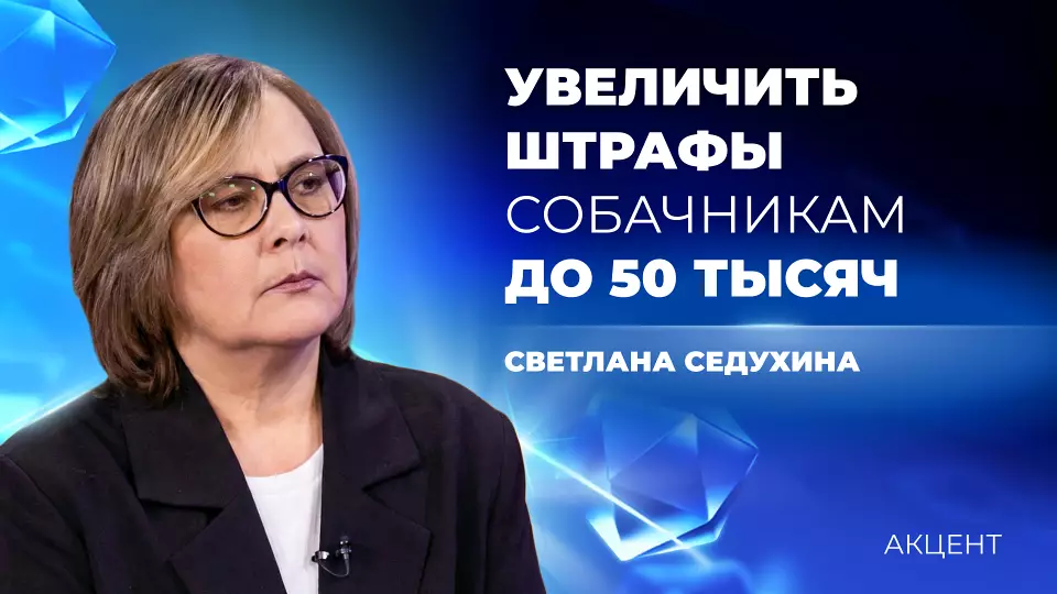 Увеличить штрафы для собачников предложили в Росприроднадзоре