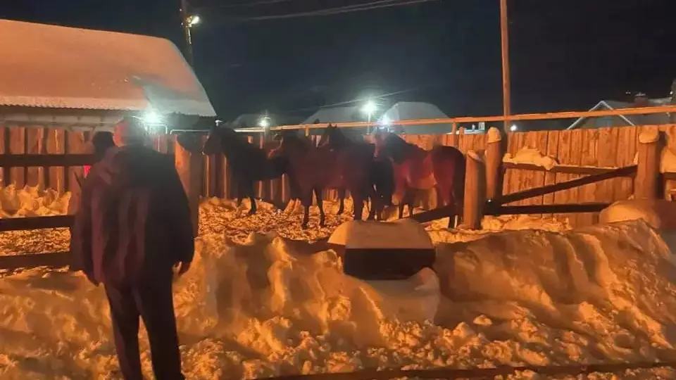 10 лошадей спасли из горевшей конюшни в Сысерти