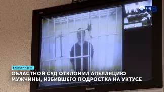 Суд оставил в СИЗО мужчину, избившего подростка на Уктусе